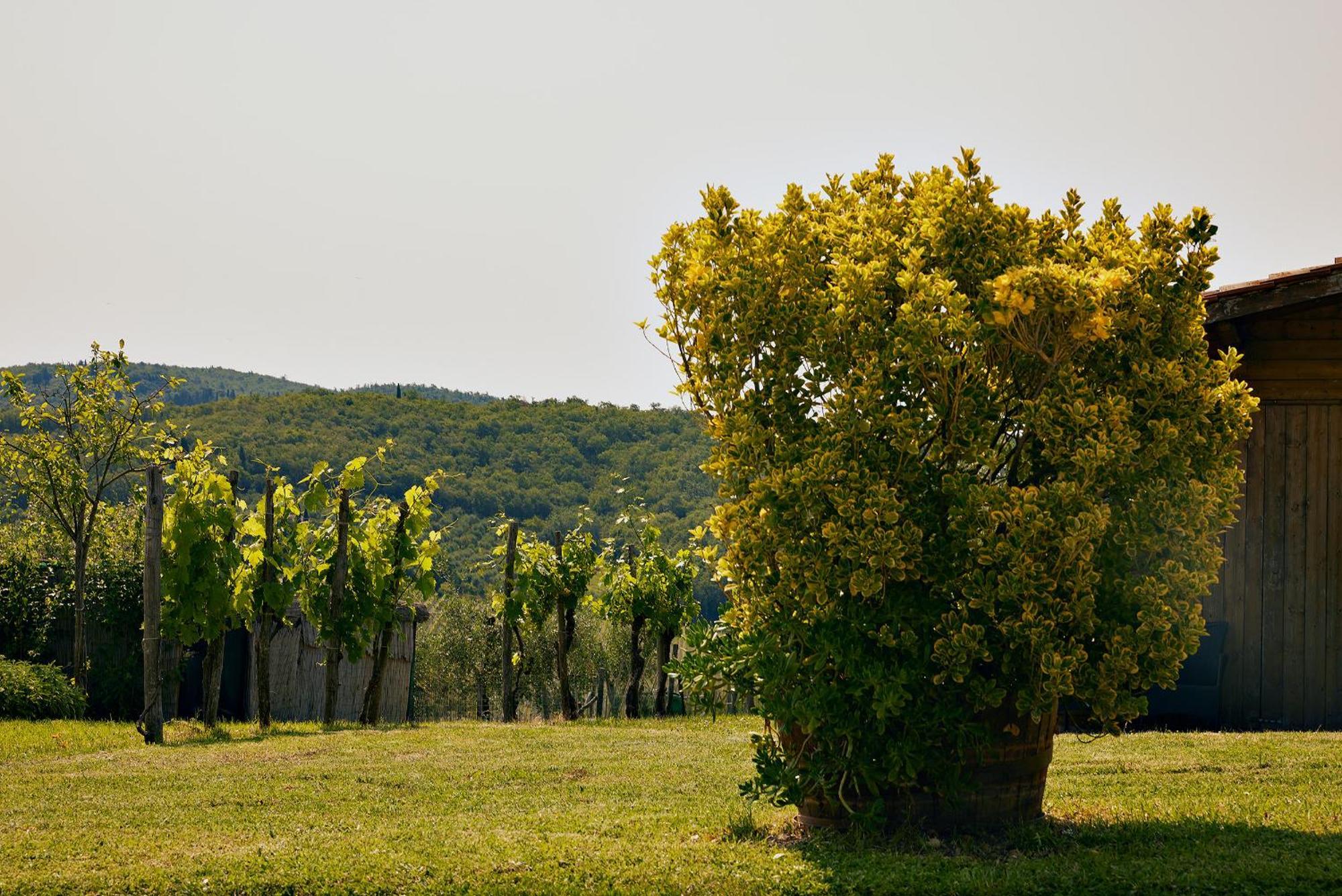 Tenuta Il Poggetto Radda in Chianti Exterior foto