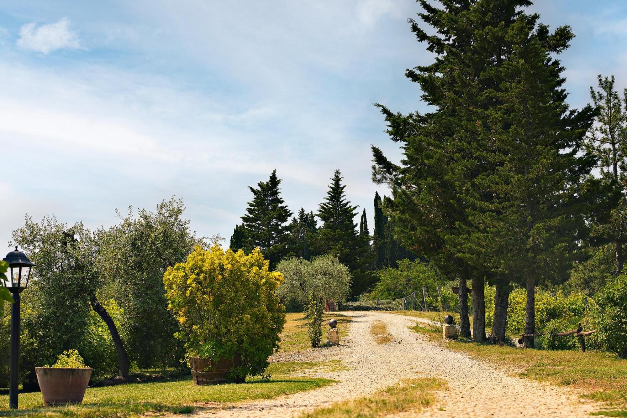 Tenuta Il Poggetto Radda in Chianti Exterior foto