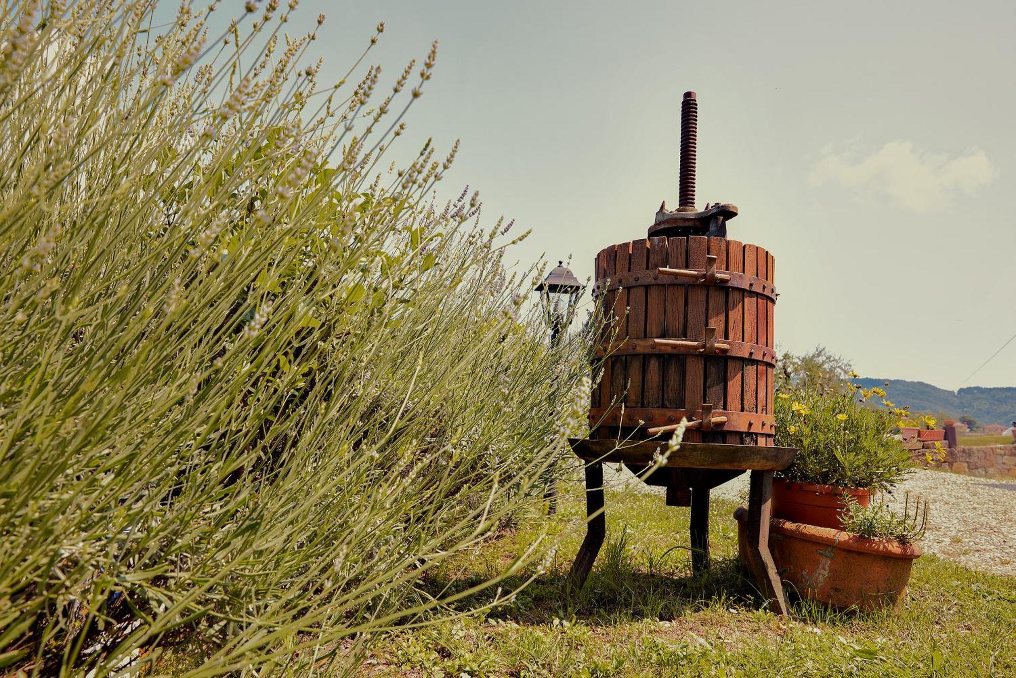 Tenuta Il Poggetto Radda in Chianti Exterior foto